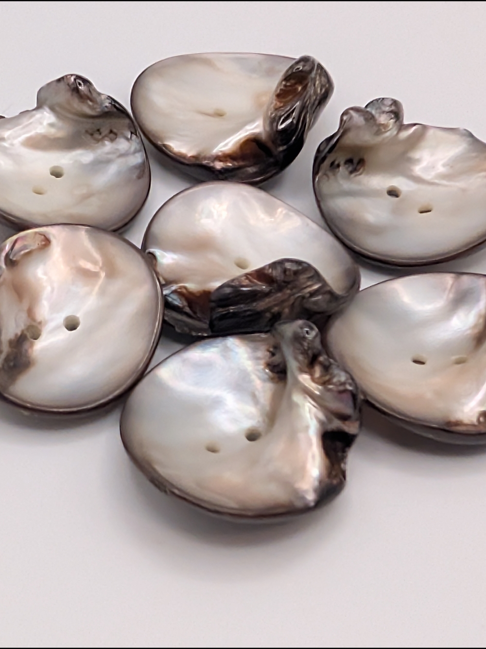 Natural Shell Buttons